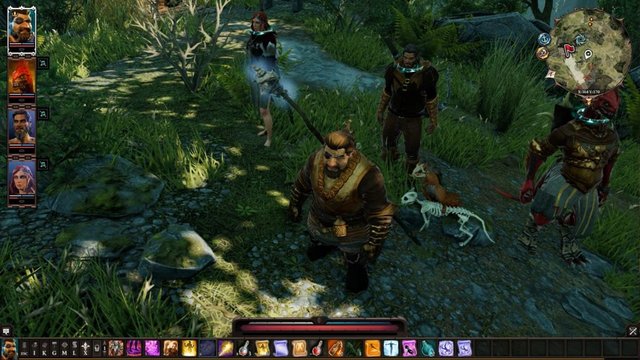 Divinity Original Sin Screenshot