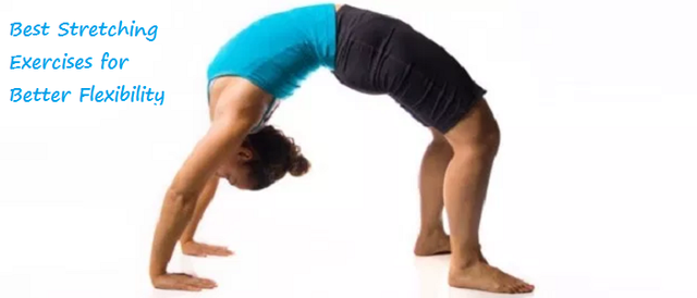 Exercises for Better Flexibility.png