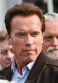 evasion A. schwarzenegger alias Emil Rottmayer.jpg