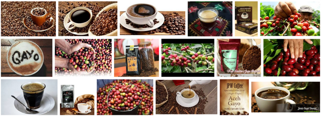 Kopi Gayo.png