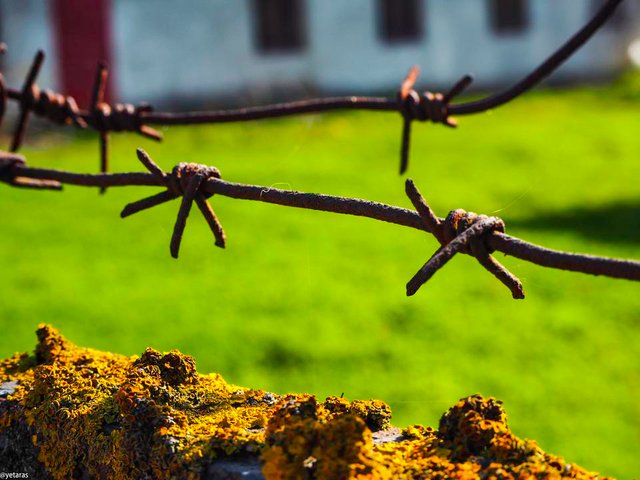 colorful barbed wire 2.jpg