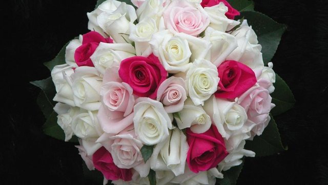 roses_flowers_white_pink_flower_leaf_design_beautifully_37471_2048x1152.jpg