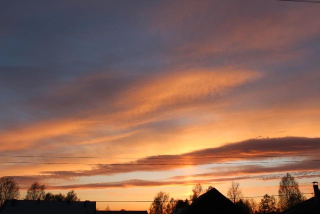 IMG_2390.JPG