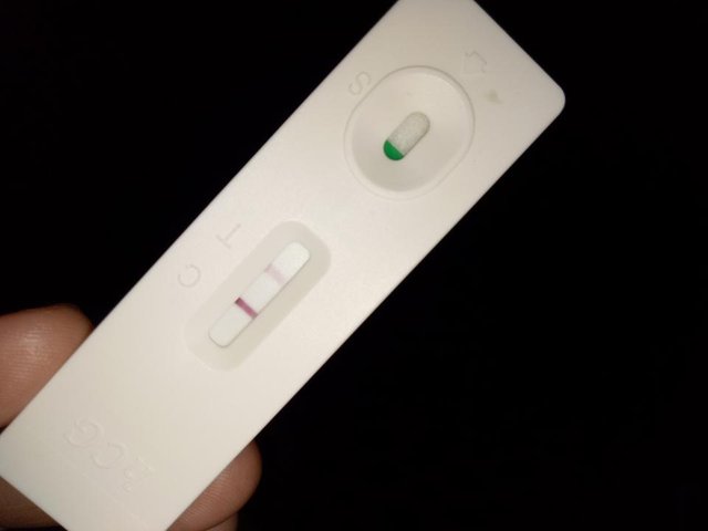 What Does Faint Positive On A Pregnancy Test — Steemit