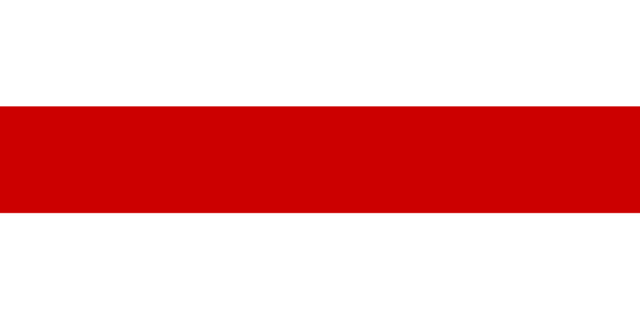 800px-1995).svg.png