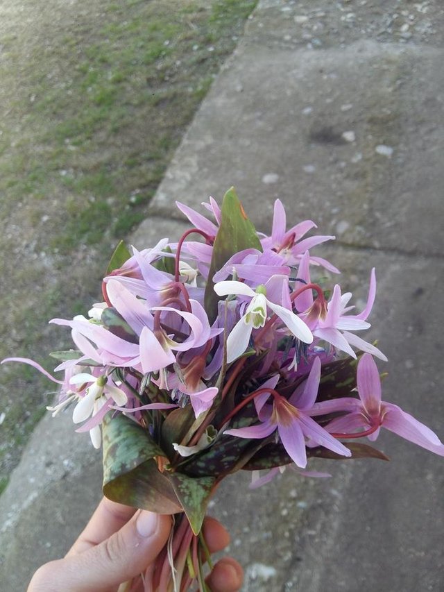 20180325_140711.jpg