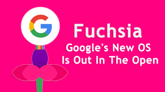 Finally-Googles-Fuchsia-OS-Is-Out-In-The-Open-2.png