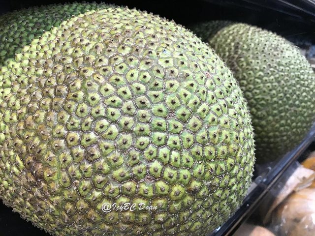 jack fruit.JPG