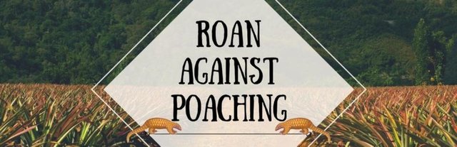 cropped-roan-against-poaching2.jpg