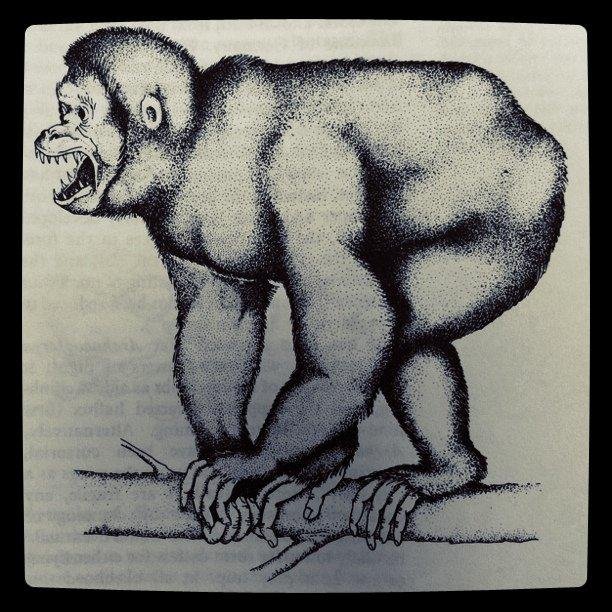 Dryopithecus.jpg