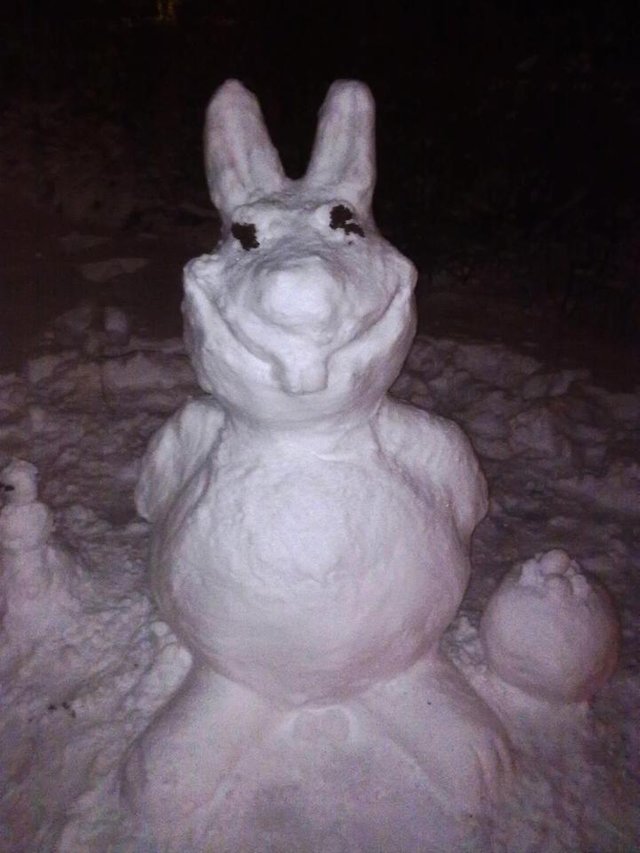 snowbunny.jpg