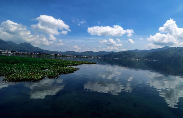 landscape.jpg