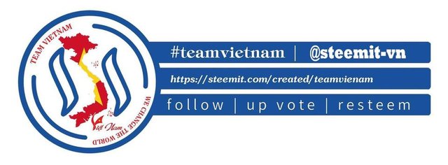 steemit-vn.jpg