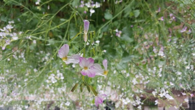 20180423_113459.jpg