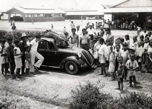 Berburu Harimau di Lampung, 1939..jpg