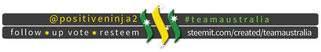 TeamAustralia Slim Banner