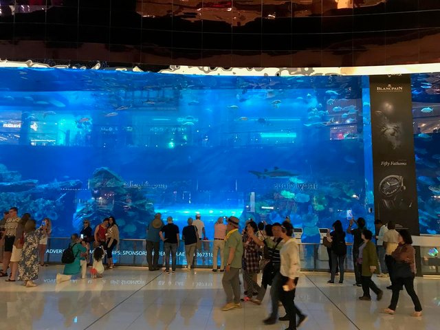 Dubai_Aquarium_in_Mall.JPG