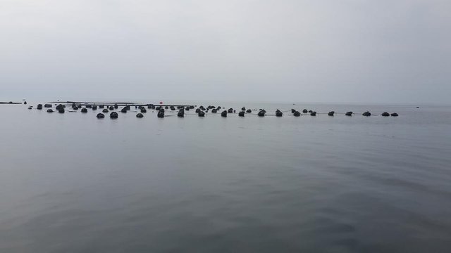 20180309_132201.jpg
