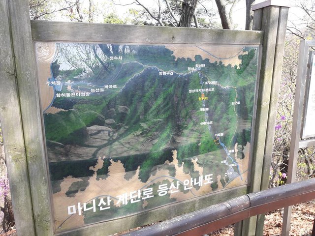 20180420_141513.jpg
