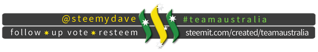 TeamAustralia Slim Banner