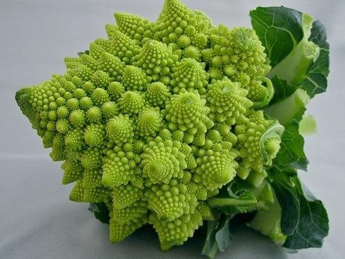 20-semillas-brocoli-romanesco-italia-brassica-huerto-D_NQ_NP_816501-MLM20358297171_072015-F.jpg