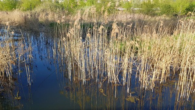 20180421_180848.jpg