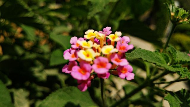 PicsArt_04-21-03.10.24.jpg