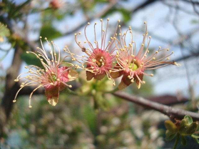 DSC09536.JPG