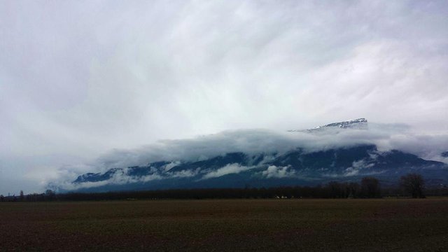 20160327_161754.jpg