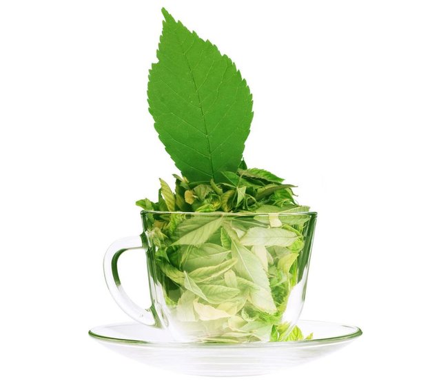 Green_Tea-wallpaper-10069078.jpg