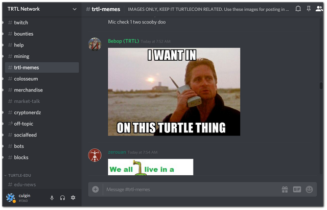 TurtleCoin_discord_meme.png