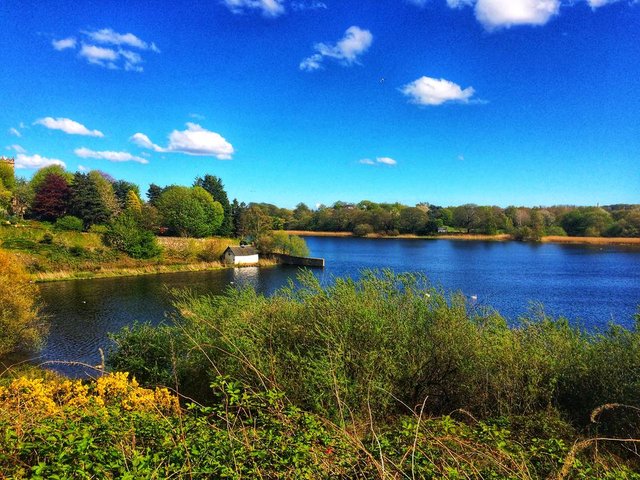 Duddingston Loch.jpeg