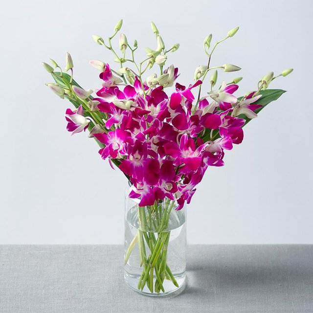 PRODUCT_FLOWERS_Oriental_Orchids_image1.jpg