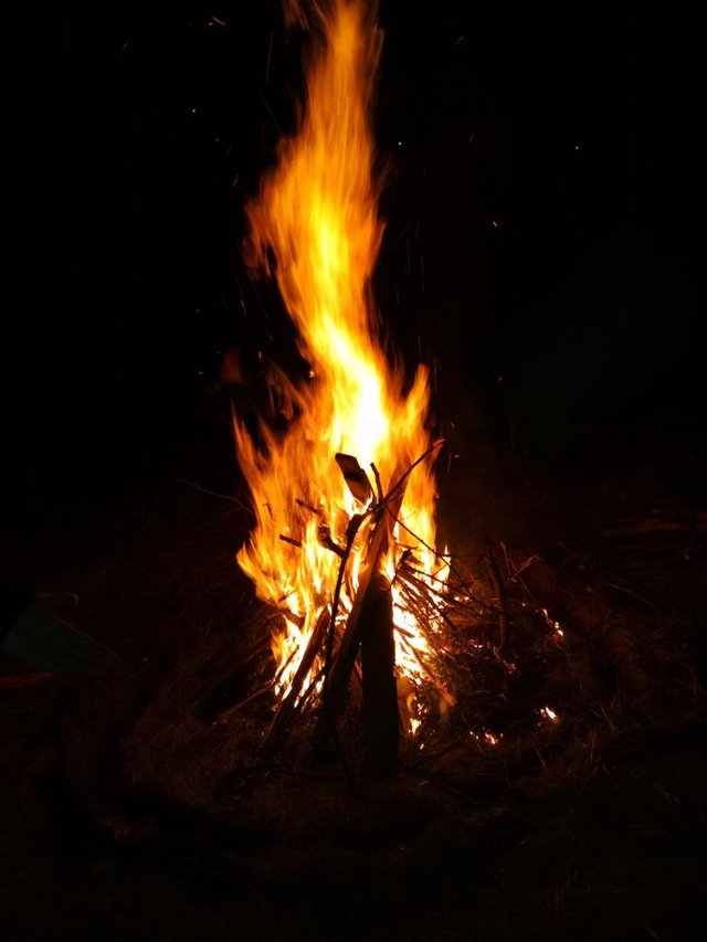 IMG_20180407_202816.jpg