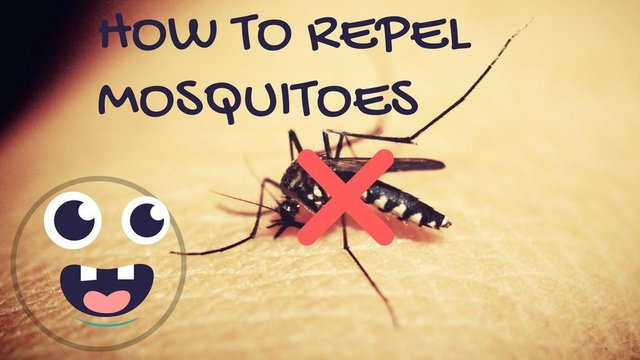 How to repel mosquitoes.jpg