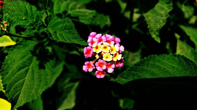 PicsArt_04-20-07.48.13.jpg