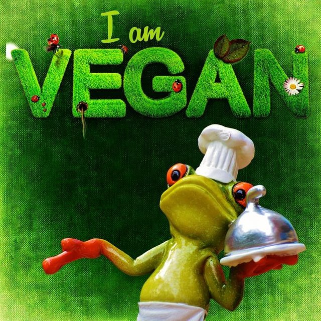 vegan-1220824_960_720.jpg