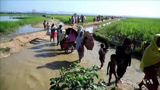 Rohingya_refugees_entering_Bangladesh_after_being_driven_out_of_Myanmar,_2017.JPG