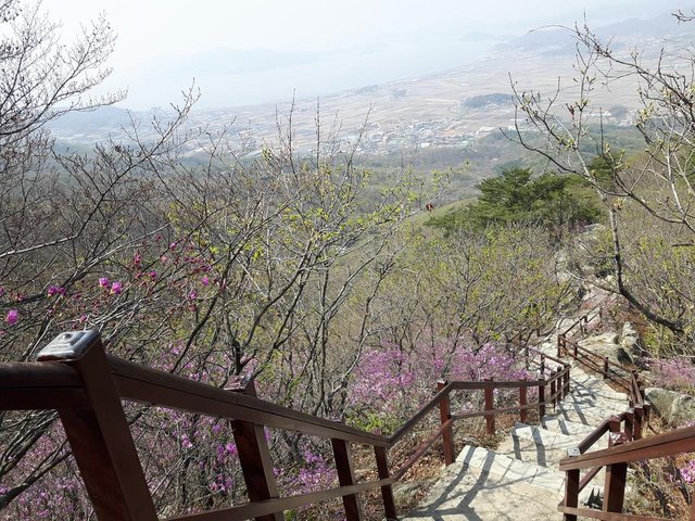 20180420_141811.jpg