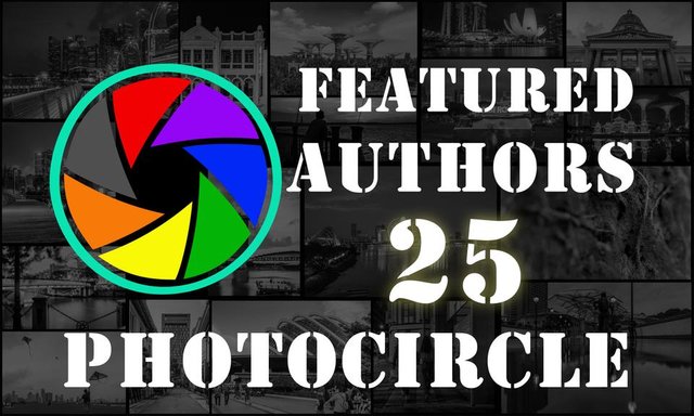 25-PC thumbnail - daily authors.jpg