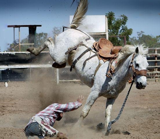 rodeo-1010051__480.jpg