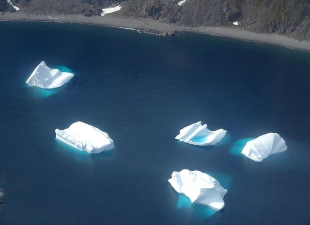 DELETEicebergs-derive-arctique.jpg