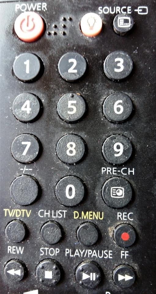 macro remote.jpg