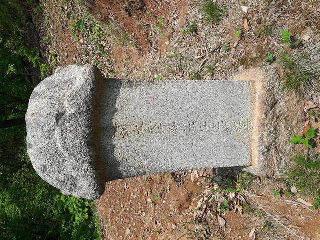 20180427_123640.jpg