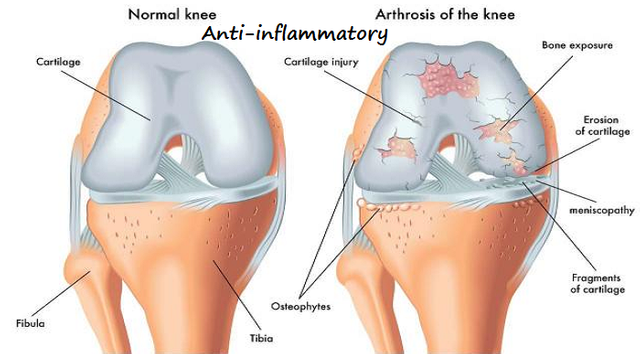 Anti inflammatory.png