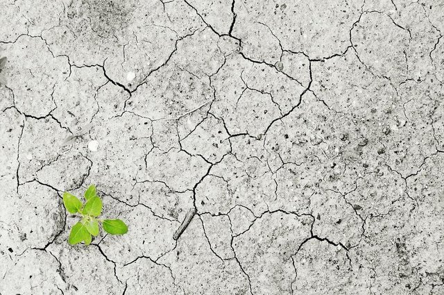 climate-change-1325882_1280.jpg