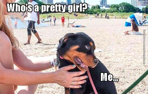 funny-pictures-pretty-girl-dog.jpg