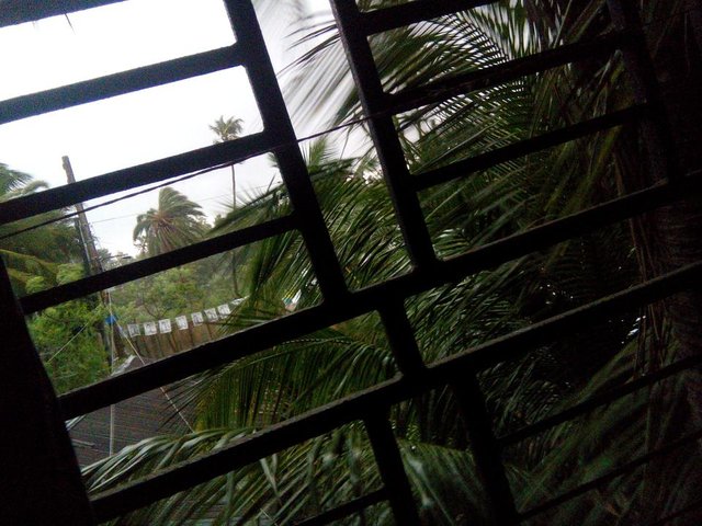 IMG_20180511_171054.jpg
