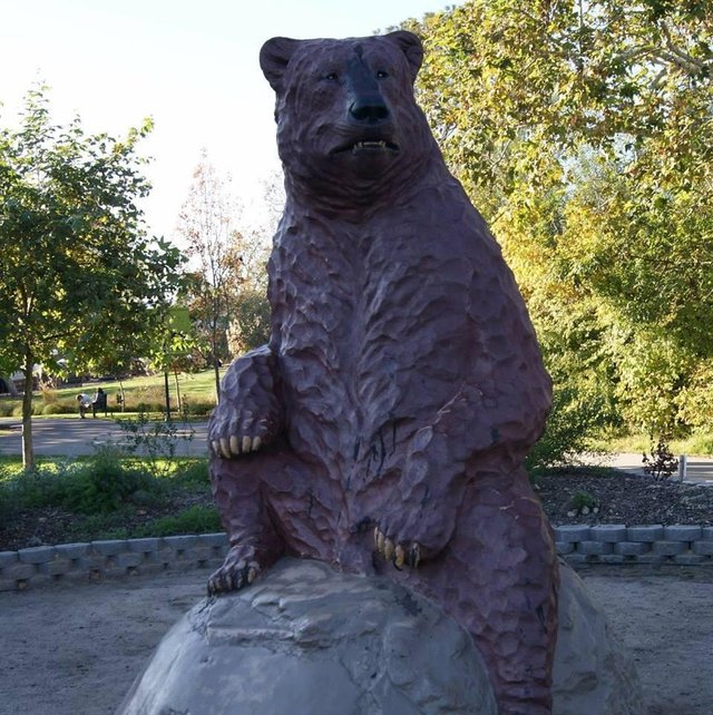 bear.jpg