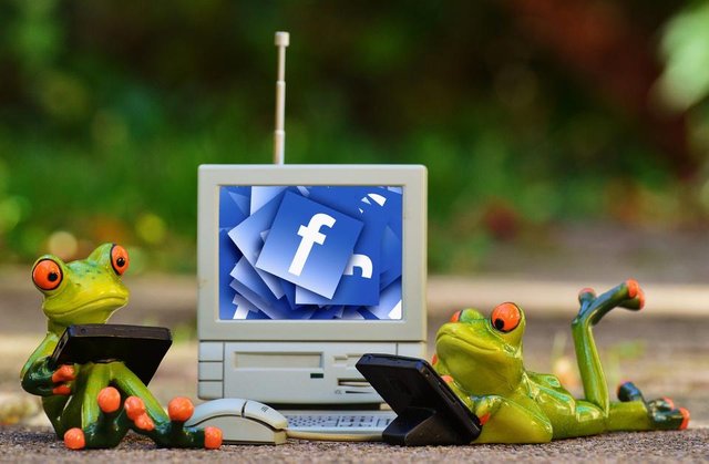 frogs-computer-facebook-social-networks-laptop.jpg